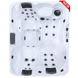 Cal Spas Patio Spa PPZ-533L 3 person spa