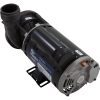 Hotspring Spas Jet Pump,1HP 2SP 115V 60HZ 1.5 Watkins Wavemaster 3000/5000, 34677 - Image 2